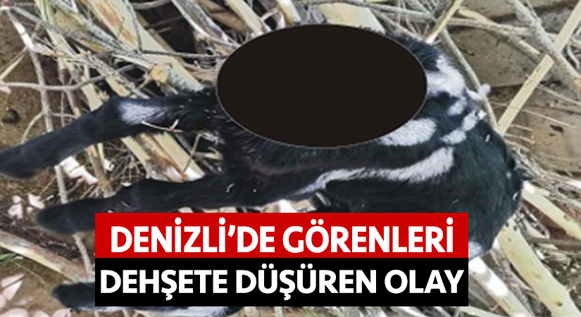 Denizli’de görenleri dehşete düşüren olay