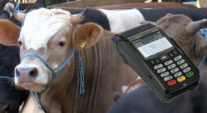 Kredi kartıyla kurban kesilir mi?