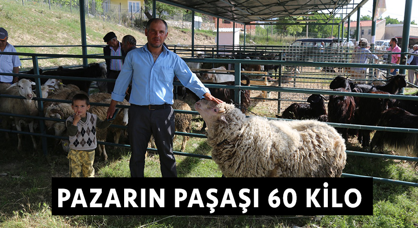 Pazarın paşası 60 kilo 