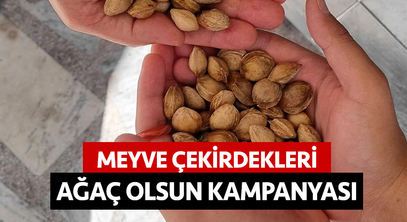 Meyve çekirdekleri ağaç olsun kampanyası
