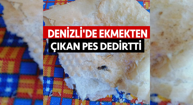 Denizli’de ekmekten çıkan pes dedirtti