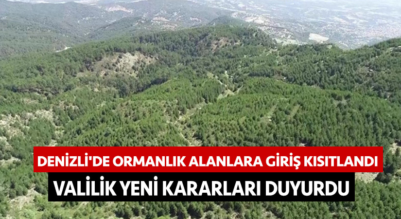 Denizli’de ormanlık alanlara giriş kısıtlandı! Valilik yeni kararları duyurdu