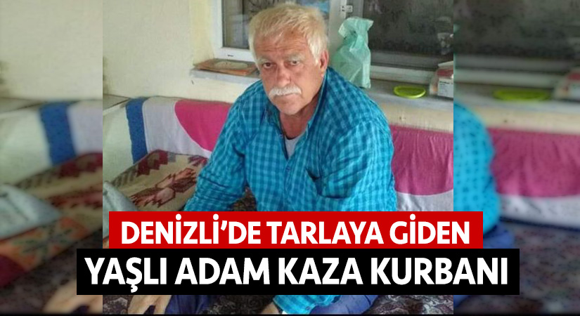 Denizli’de tarlaya giden yaşlı adam kaza kurbanı