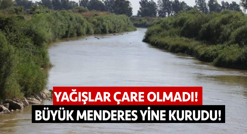 Yağışlar çare olmadı! Büyük Menderes yine kurudu!