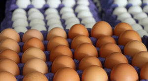 Yumurta fiyatlarına dev zam!