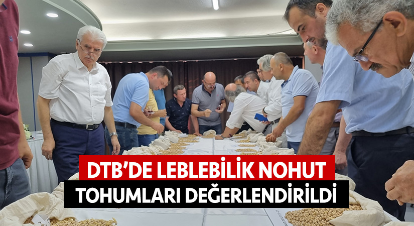 DTB’de leblebilik nohut tohumları değerlendirildi