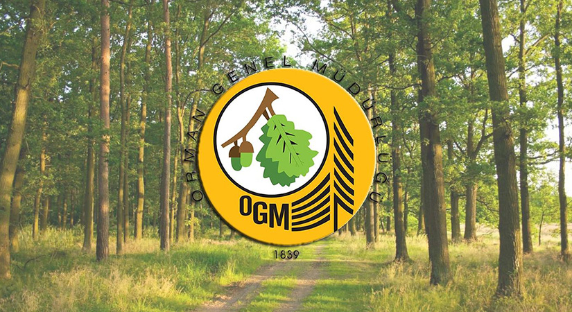 Denizli’de Orman Bölge Müdürlüğü işçi alacak