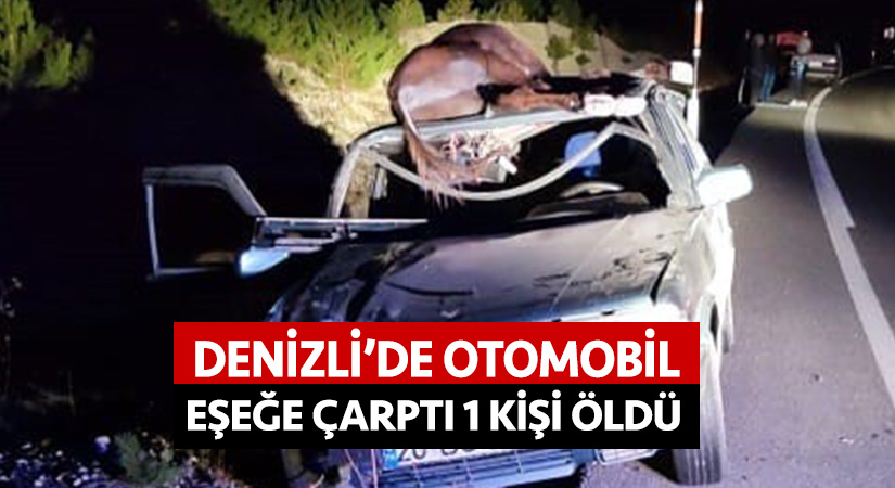 Denizli’de otomobil eşeğe çarptı; 1 kişi öldü!