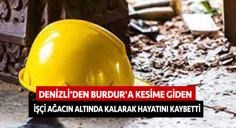 Kesime giden işçi ağacın altında kalarak hayatını kaybetti